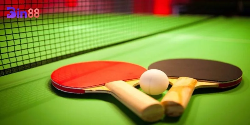 Bóng bàn là bộ môn cá cược hoàn toàn mới mẻ tại nhà cái BIN88.
