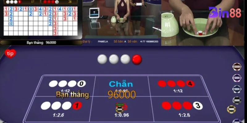 Cầu chẵn lẻ có rất nhiều dạng thức xen kẽ. 